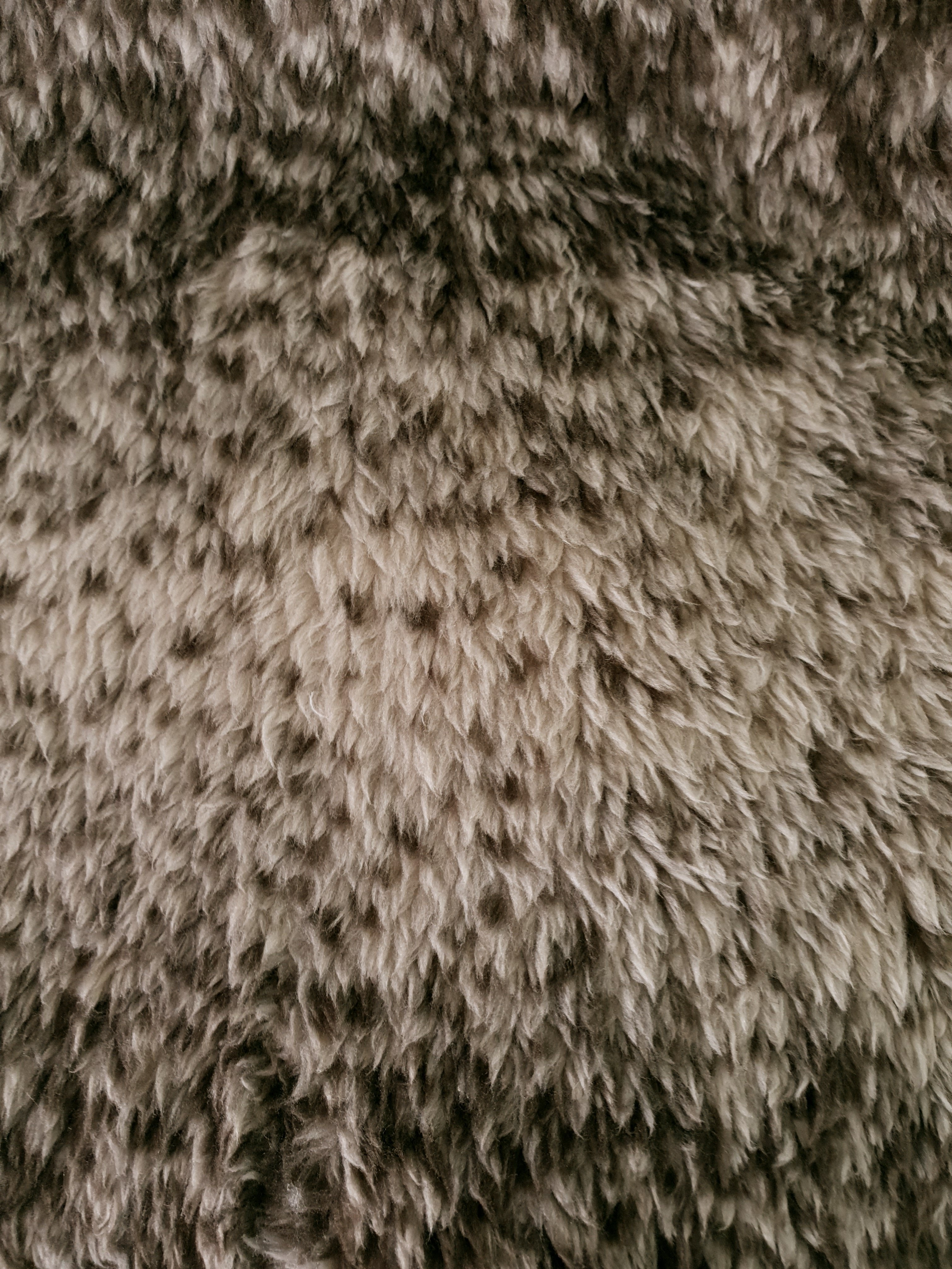 20200701_123510_8116bdcf-4e06-48a9-bf31-b81c5e7a4ee0